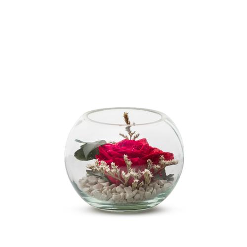 Visuel 1 du produit Verrine de végétaux stabilisés rose rouge et eucalyptus Naturalys Venezia 13 - Ø 13 x H 13 cm