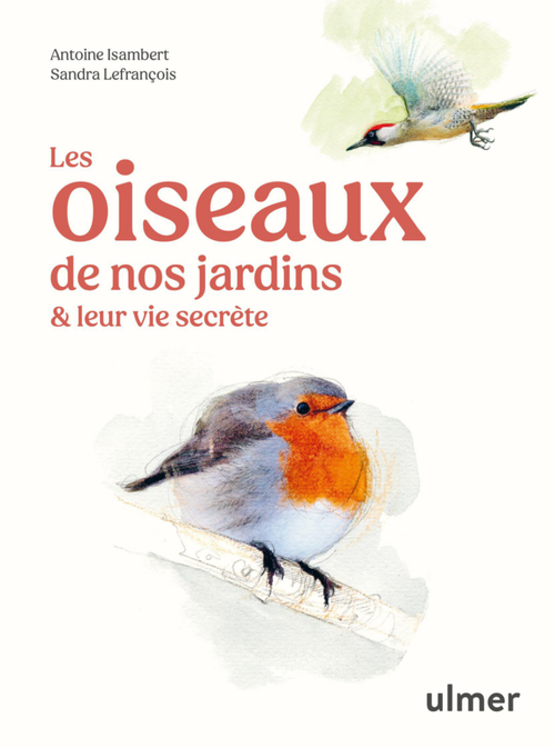 Visuel 1 du produit Livre Les oiseaux de nos jardins et leur vie secrète aux Éditions Ulmer - 127 pages