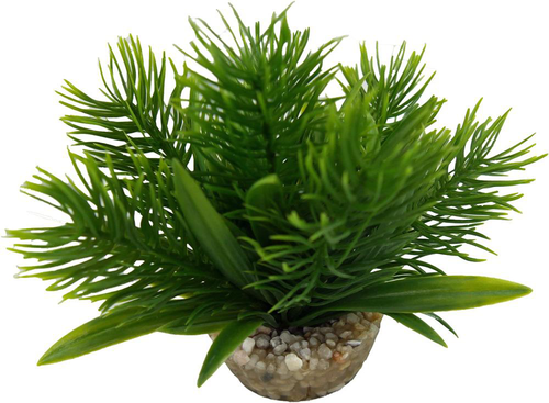 Visuel 1 du produit Plante artificielle pour aqua-terrarium coloris vert LABEO Egeria