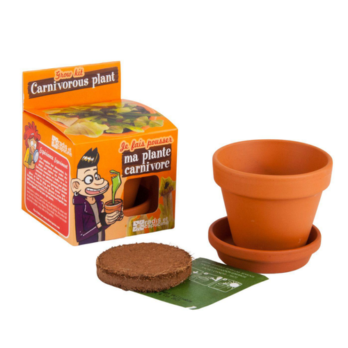 Visuel 2 du produit Kit Plantes carnivores avec pot et coupelle terre cuite Ø8 cm (Âge minimum 3 ans)