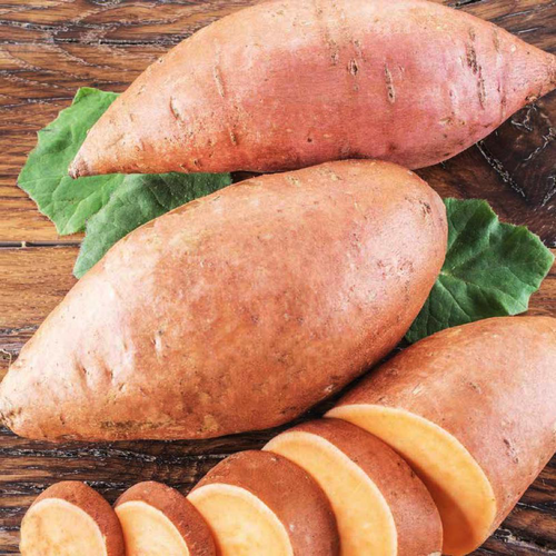 Visuel 1 du produit Patate Douce Bonita. Le pot de 10,5 cm