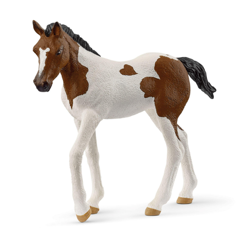 Visuel 1 du produit Figurine Schleich® Poulain Paint Horse - 8,4 x 2,9 x 7,7 cm