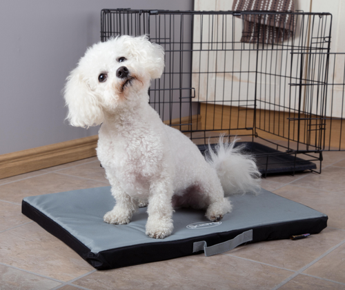Visuel 4 du produit Tapis imperméable pour chien gris Expédition Scruffs – Taille M