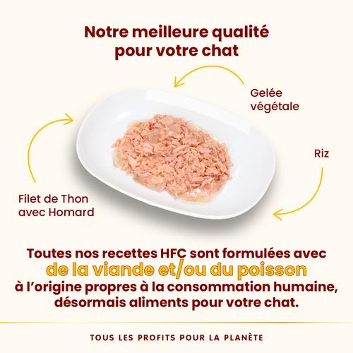 Visuel 3 du produit Pâtée pour chat HFC Jelly au filet de thon et homard Almo Nature - 55 g