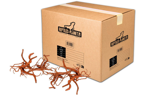 Visuel 1 du produit Décoration pour aquarium en bois racine araignée Reptiles Planet - Taille S (15 à 25 cm)