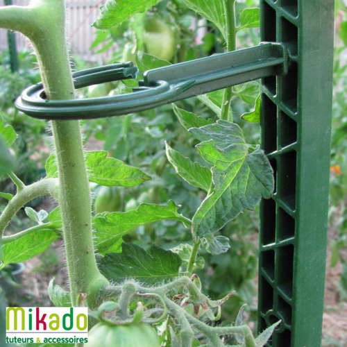 Visuel 3 du produit Tuteur à tomate avec 4 attaches coloris vert  - 180 cm