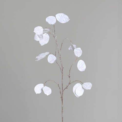 Visuel 1 du produit Branche de lunaire blanche - 84 cm