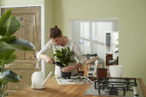 Visuel 5 du produit Self-watering insert d’arrosage automatique living noir Elho - 24 cm