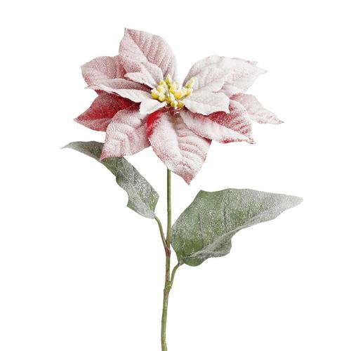 Visuel 1 du produit Poinsettia artificiel givré rouge pailleté - 68 cm
