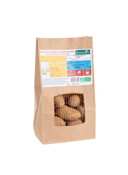 Visuel 1 du produit Pommes de terre Otolia bio botanic® - 10 plants