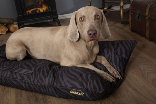 Visuel 9 du produit Coussin imperméable à mémoire de forme pour chien Expédition Scruffs - Taille L
