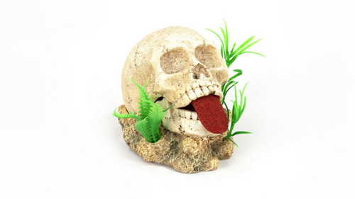 Visuel 1 du produit Bulleur crâne langue pendue coloris multicolore en résine Aquatlantis - 12,5 x 14 x 11,5 cm