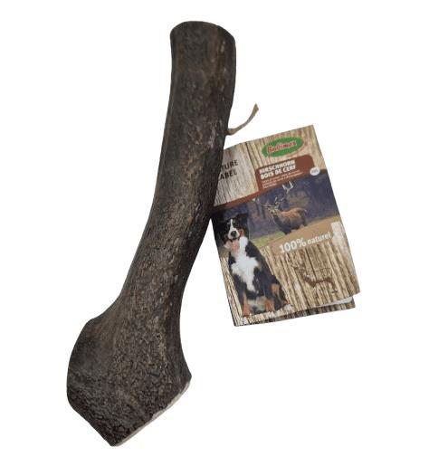 Visuel 1 du produit Bois de cerf pour chien Bubimex - Taille XXL