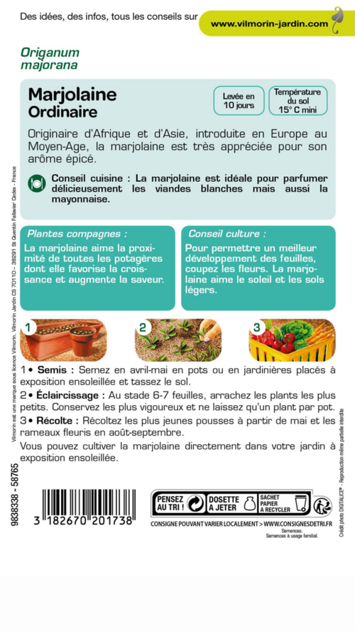 Visuel 2 du produit Marjolaine ordinaire Vilmorin - graines à semer