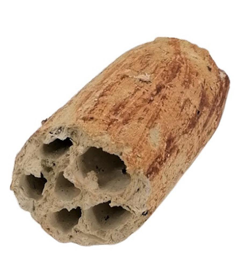 Visuel 1 du produit Décor pour aquarium céramique naturelle coloris beige tunnel Tyrol - 6 à 8 cm