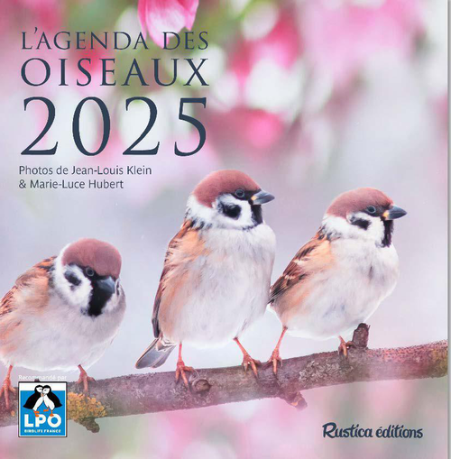 Visuel 1 du produit Agenda "L'agenda des oiseaux 2025" aux Éditions Rustica