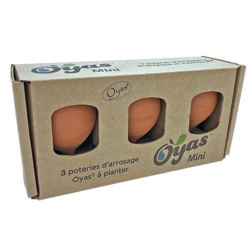 Visuel 1 du produit Oyas à planter mini naturel coloris multicolore