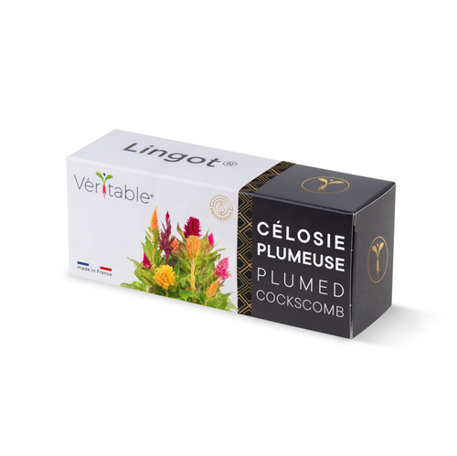 Visuel 1 du produit Lingot® Célosie plumeuse Véritable®