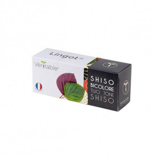 Visuel 1 du produit Lingot® Shiso bicolore pour potager Véritable