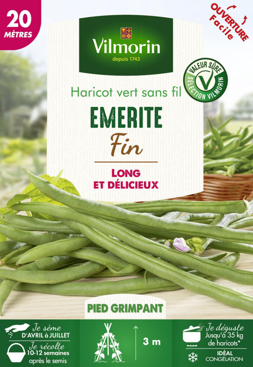 Visuel 1 du produit Graines de Haricot vert sans fil Emerite fin Vilmorin - graines à semer