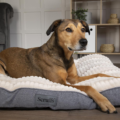 Visuel 3 du produit Couchage pour chien coloris gris coussin Scruffs Ellen - Taille M 82 x 58 cm