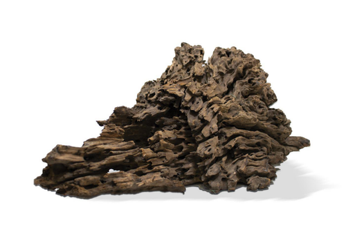 Visuel 1 du produit Racine décorative pour aquarium coloris marron Aquavie Pookanatur - Taille M