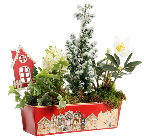 Visuel 1 du produit Composition jardinette zinc rouge décor village - 26 cm