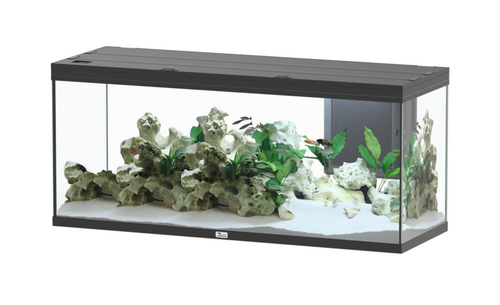 Visuel 1 du produit Aquarium coloris noir Aquatlantis Volga LED 2.0 450 L - 152 x 52 x 67 cm