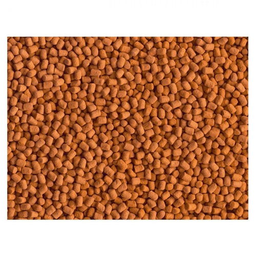 Visuel 2 du produit Granulés énergétiques pour reptiles, TETRA ReptoMin Energy - contenance 100ml - 34g