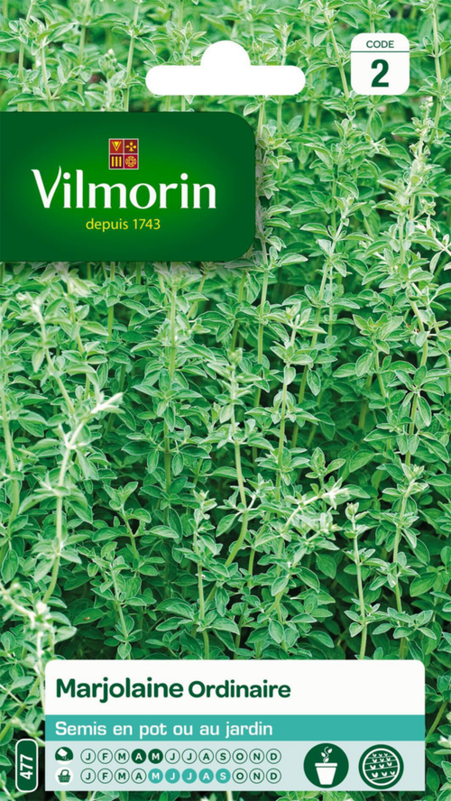 Visuel 1 du produit Marjolaine ordinaire Vilmorin - graines à semer