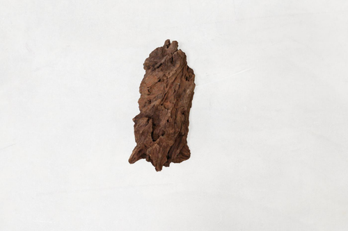 Visuel 1 du produit Décor pour aquarium coloris marron racine Mangrove MS Aquavie - 25 à 40 cm