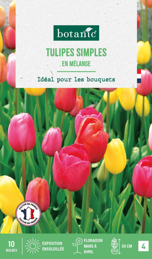 Visuel 1 du produit Tulipe en mélange botanic® - 10 bulbes