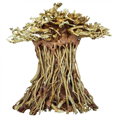 Visuel 1 du produit Arbre bonsaï mushroom, taille S - marque SUPERFISH - décoration d'aquarium