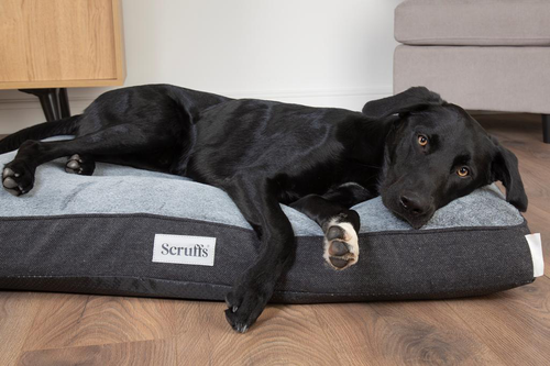 Visuel 7 du produit Couchage orthopédique pour chien coloris gris Scruffs Harvard - Taille L 100 x 70 x 12 cm
