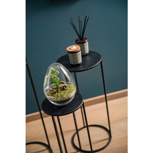 Visuel 3 du produit Table de service Quinty en métal noir T2 Edelman Hollande - Ø 27 x 60 cm