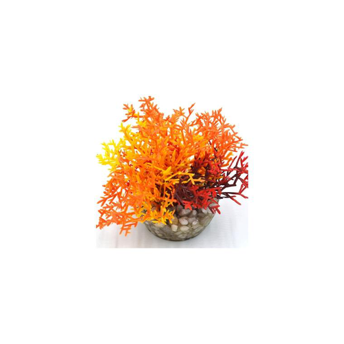 Visuel 1 du produit Corail coloré orange en plastique 12 x 10 cm