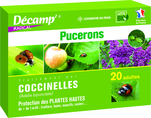 Visuel 1 du produit Coccinelles Adalia Bipunctata 20 adultes