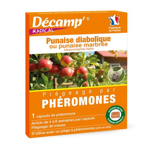 Visuel 1 du produit Phéromones contre les punaises diaboliques Decamp