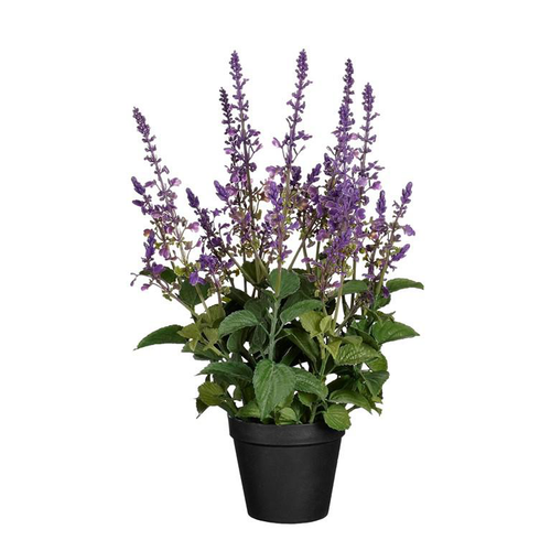 Visuel 1 du produit Sauge artificielle violette en pot - Ø 26 x H 49 cm
