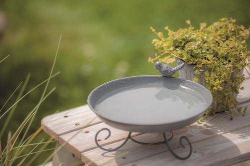 Visuel 1 du produit Abreuvoir mangeoire pour oiseaux en métal à poser au sol Trixie - 800 ml
