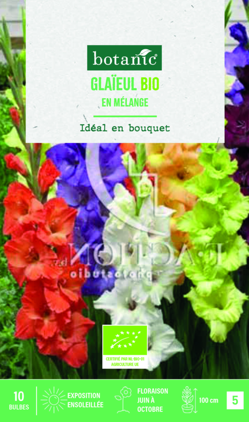 Visuel 1 du produit Bulbes de fleurs Glaïeul grandes fleurs en mélange bio botanic® - 10 bulbes