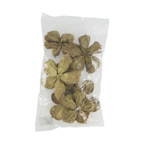 Visuel 1 du produit Sachet de 7 fleurs de lotus séchées dorées - 32 x 20 cm