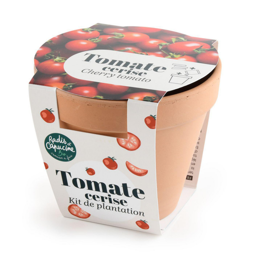 Visuel 1 du produit Pot en terre cuite antique avec graines de tomate cerise bio Radis & Capucine