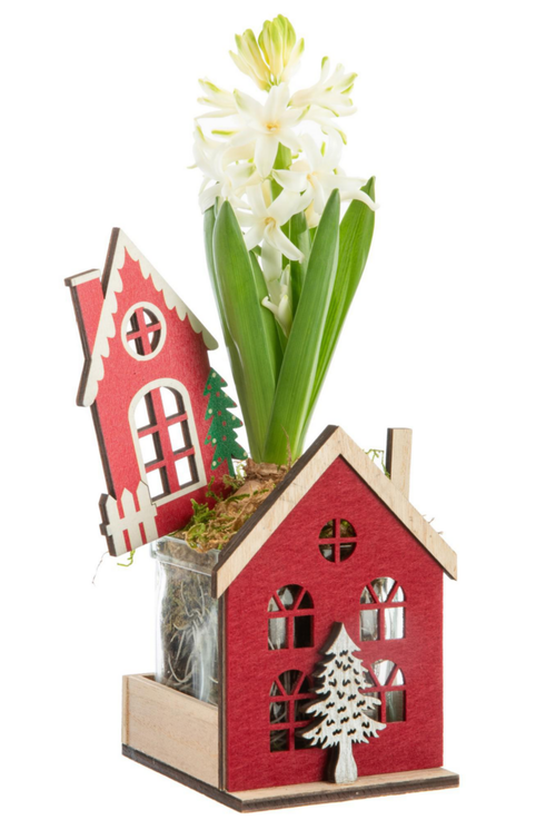 Visuel 1 du produit Jacinthe x 1 maison en bois décor rouge - 8,5 x 8,9 cm