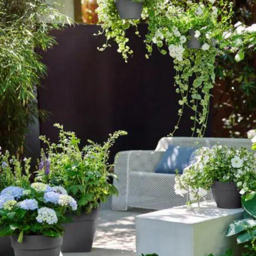 Visuel 6 du produit Coupe vibia campana Elho de 5,7 L coloris noir Ø 27 x H 14 cm