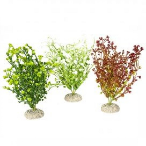 Visuel 1 du produit Plante artificielle Bacopa Set M coloris variés - AQUA DELLA - 25cm