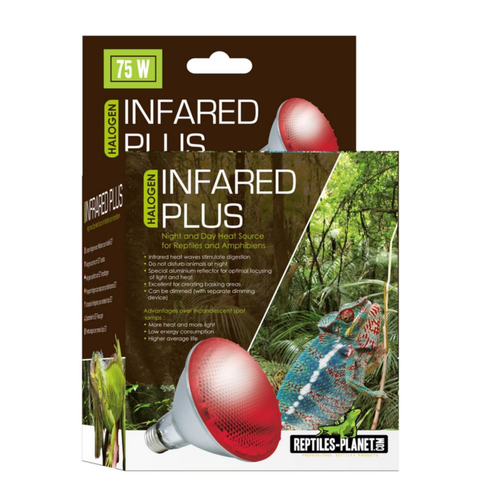 Visuel 1 du produit Lampe infrarouge pour terrarium Reptile Planet Infrared Plus Halogène 75W