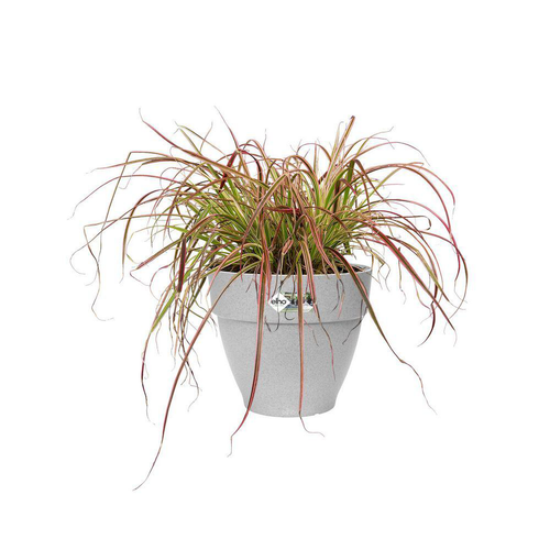 Visuel 4 du produit Pot vibia campana rond Elho de 11 L coloris gris Ø 30 x H 25 cm