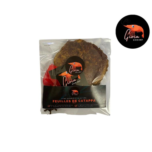 Visuel 1 du produit Feuilles de catappa pour les crevettes d'aquarium Gioiashrimp – sachet de 10