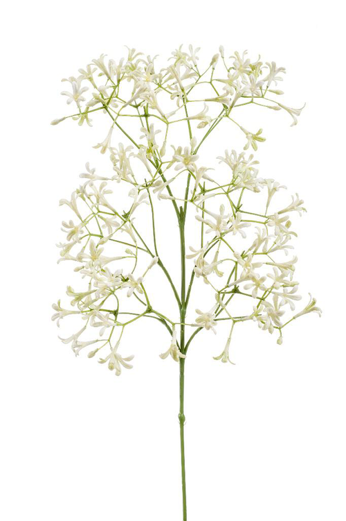Visuel 1 du produit Tige de Saxifraga artificielle crème - 20 x 9 x 63 cm